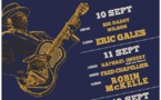 Blues Roots Festival à Meyreuil (13) du 10 au 12 Septembre 2021