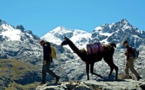 Trekking au Pérou : sur les pas des incas et au-delà