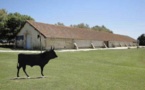 Inauguration du nouveau Musée de la Camargue et de son exposition permanente « Le fil de l’eau…le fil du temps en Camargue » le 29 octobre 2013 à 11h00