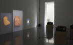 Pascal Schwaighofer, « Parachronisme » exposition du 5 au 23 novembre 2013 à la Villa du Parc, Annemasse