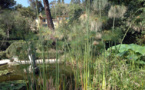 Exposition sur la nature méditerranéenne en France en 3D, Serre de la Madone, Menton, du 8 janvier au 30 mars 2014