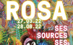 Valence, Musée : exposition « Hervé Di Rosa. Ses sources, ses démons ». Du 27 mars au 28 août 2022