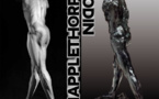 Mapplethorpe-Rodin, Musée Rodin, Paris, du 8 avril au 21 septembre 2014