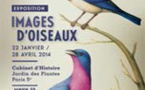 Images d’oiseaux, exposition au Cabinet d’Histoire du Jardin des Plantes, Paris, du 22 janvier au 28 avril 2014