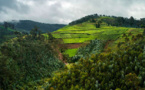 Rwanda, blessures d’images. Photographies d’Alexis Cordesse. Centre du Patrimoine Arménien de Valence. Du 21 mars au 25 mai 2014