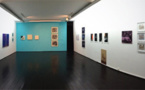 Shown or to be shown, du 30 Janvier au 21 Février 2014 à la galerie Houg, Lyon