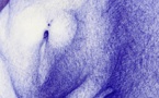 Lyon, petite galerie Françoise Besson : Etre Chair, exposition du 9 mars au  7 mai 2022