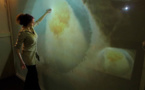 Métamorphy, œuvre interactive de Grégory Lasserre &amp; Anaïs met den Ancxt à La Serre / l'espace d'exposition de la ville de St Etienne, jusqu'au 15 février 2014