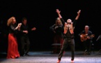 Avignon, Théâtre du Balcon : Carmen Flamenco - Festival Andalou. 29 mars à 20h