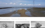 Paris, galerie Umcebo : « Momentum », Patricia Erbelding. A partir du 22/3/22