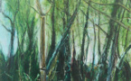 Clément Montolio, « Mystères évidents », à la galerie Françoise Besson, Lyon, du 10 mars au 23 avril 2014