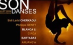Festival International de Danse de Vaison la Romaine du 11 au 27 juillet 2014. Location ouverte le 12 mai