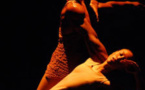 Instants Dansés. Photographies de Guy Martin, Vaison Danses 1996 - 2013, du 28 juin au 28 juillet 2014