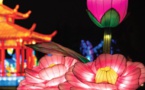 Montauban (82) , festival des lanternes 22-23 : balade au gré du fleuve Yangtsé