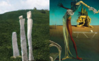 Paris, Institut Giacometti  : « Alberto Giacometti - Salvador Dalí. Jardins de rêves ». 13. 12.2022 au 09. 04.2023