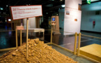 Un grain de génie. Expo-manip du 2 décembre 2014 au 3 mai 2015 au Palais de la découverte, Paris