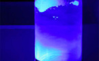 La douche froide, une exposition des œuvres de Boris Raux, au Musée International de la Parfumerie, Grasse, du 5 décembre 2014 au 30 mars 2015