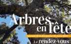 Arbres en fête marque l'arrivée du printemps au Domaine du Rayol