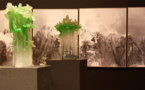 Salon des Beaux Arts du 11 au 14 décembre 2014, au Carrousel  du Louvre, Paris