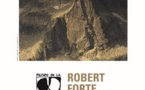 Nice. musée de la Photographie Charles Nègre : Robert Forte « Regard sur les Alpes sauvages ». 18 novembre 2023 – 17 mars 2024