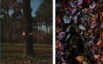 Paris, Galerie XII, « Il y a un instant où la nuit se fait voir à la lumière » Exposition collective du 2 février au 13 avril 2024