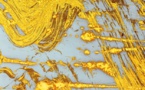 Paris, Bibliothèque de l’Arsenal : Printemps des poètes. Pour une édition sous le signe de la grâce et qui aura pour parrain Sylvain Tesson.  Du 9 au 25 mars 2024
