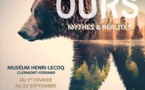 Clermont-Ferrand, muséum Henri-Lecoq : « Ours, mythes &amp; réalités », exposition du 1er février au 22 septembre 2024