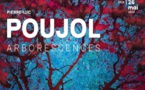 Sète, Musée Paul Valéry : « Arborescences » par Pierre Luc Poujol. 23 mars au 26 mai 24