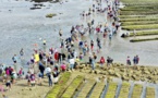 30 ans de musiques du large pour les traversées Tatihou dans la Manche. 20 au 25 août  2024