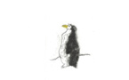 Villeurbanne, URDLA : « Un drôle de pingouin ». Expo du 9 mars au 4 mai 2024