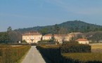 Uchaux – Vaucluse - Château Saint-Estève, une saga familiale