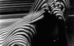 Arles, musée des Beaux-Arts. Les arlésiens choisissent Clergue : Hommage à Lucien Clergue. 9 novembre jusqu'au 30 mars 2025