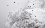« Le mauvais temps n'est plus ce qu'il était », Christophe Jacrot : 5 expositions (Paris, New York, Luxembourg, Genève, Aix-en-Provence)
