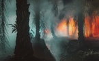 Paris, Festival du Jeu de Paume : Paysages mouvants. 07.02.25 — 23.03.25