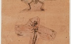 Amboise, Château du Clos Lucé :  « S’inspirer du vivant : de Léonard de Vinci à nos jours ». Exposition temporaire du 7 juin au 10 septembre 2025