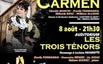 Salon de Provence : Festival d'art lyrique les 5, 7, 8 &amp; 9 Août 2025