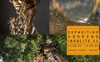 Privas, Espace Envol : « Ardèche insolite #3 ». Exposition collective de photographes. Du 23 juin au 12 septembre 2025