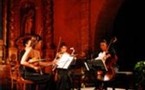 Musique classique, Provence, XXème Festival de Quatuors à Cordes en Pays de Fayence. 24 au 31 octobre 2008