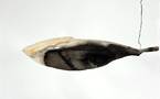 Paris, Galerie Marie-Claude Duchosal  : « Sorti de La Nuit ». Patricia Erbelding. Du 7 au 29 novembre 2025