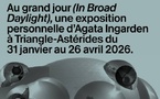 Marseille, Triangle-Astérides : « Au grand jour » (In Broad  Daylight), exposition personnelle d'Agata Ingarden. 31 janvier au 26 avril 2026