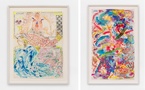Paris, galerie Ceysson &amp; Bénétière : « Nancy Graves. Everyone Scurries ». Du 21 mai au 20 juin 2026