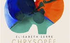 Aix en Provence, galerie NEA : Elisabeth Serre, «  Chrysopée, Transformation, souffle et couleur ». 28 mai au 31 juillet 26