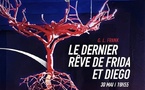 Vals les Bains, cinéma les Quinconces : « Le dernier rêve de Frida et Diego » en direct de New York. Samedi 30 mai – 18h55