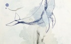 Festival Off Avignon, Théâtre de l'Adresse : « Chrysalide »,  Filomène et Compagnie. Du 04 au 25 juillet à 14h05 (relâche les mercredis)