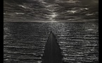 Lyon, galerie Ceysson &amp; Bénétière : Bao Vuong, « Manifesta, La Traversée ». 16/09 au 2/10/26
