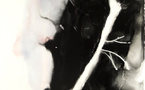 Paris, Galerie Marie-Claude Duchosal : « Patricia Erbelding - Endemic ». Du 3 au 24 octobre 2026