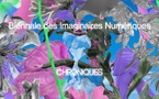Biennale des imaginaires numériques, 5ème édition du 24 octobre 2026 au 17 janvier 2027