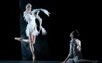 Toulon, Zénith : « Lac », entre ombre et lumière, la danse des passions. 7 et 8 octobre 2026, à 20 h