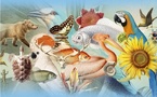 Paris, Museum national d'Histoire naturelle : Exposition « Artistes au Muséum ». Week-End Festif 17&amp;18 oct. 2026