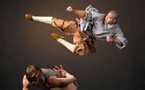 Vaison-la-Romaine, festival Vaison Danses : Alonzo King's Lines Ballet et les moines Shaolin. Jeudi 10 juillet - 22 h
